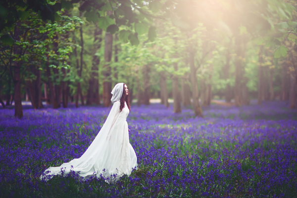 Bluebell Dreaming at Ashridge Forest by Sanshine Photography and Miss Munro